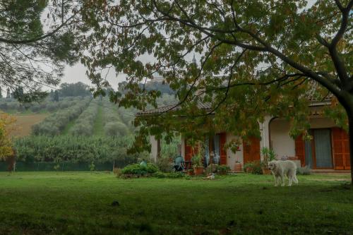 www.casasofiacatania.it