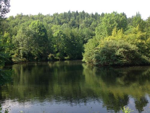 www.willaboconek.pl