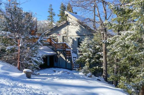 www.bigbearcoolcabins.com