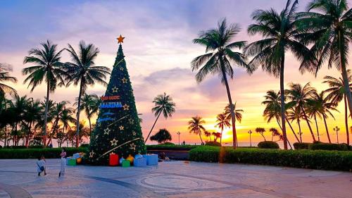 www.rapidhotels.com
