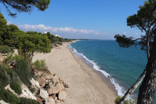 www.apartamentosdeauville.com
