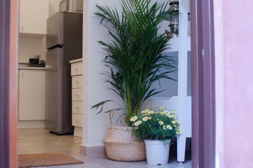 www.courduchateau.fr