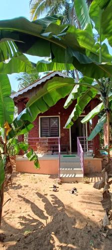 www.villa-des-oliviers.fr
