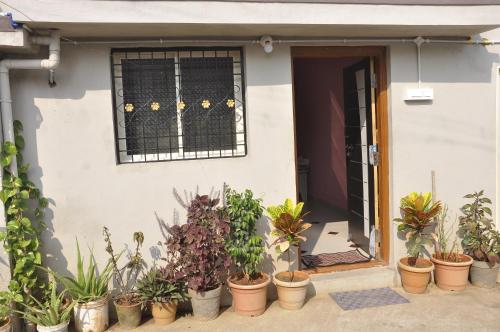 www.lepakok.com