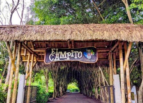 www.elcampitoartlodge.com