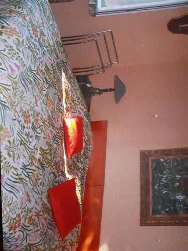 www.camping-monteortu.corsica