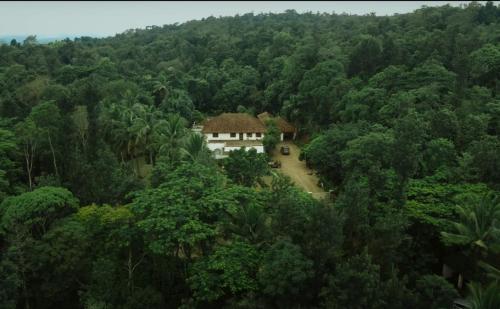 www.libertyhillfarm.com