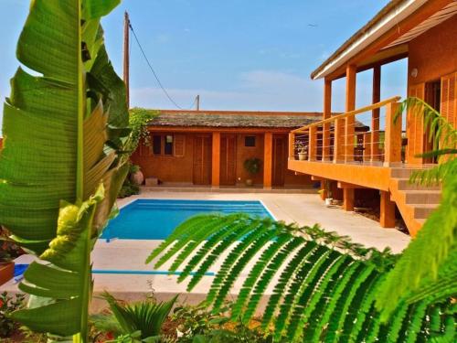 www.thebloomsbali.com