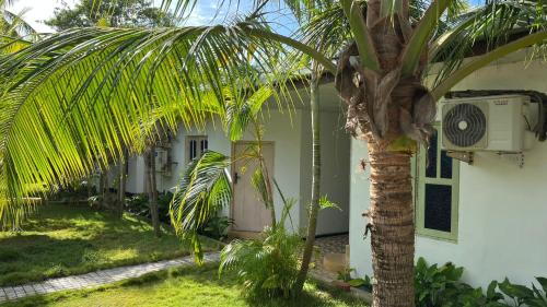 www.oceanvillas2.com