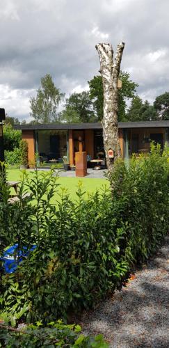 www.mccarthyandstoneresales.co.uk