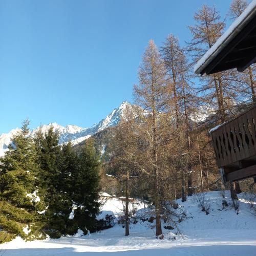 www.scolvoyages.com