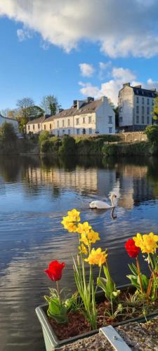 www.bulkeleyhotel.co.uk