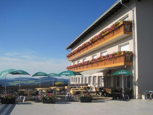www.tandoorimexicanmalaga.com