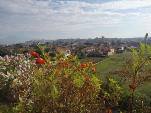 www.aziendaperconti.it