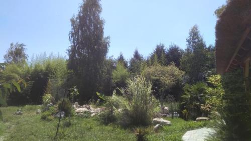 www.nethergongcamping.co.uk