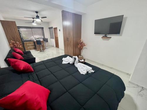 www.ahauplaya.com