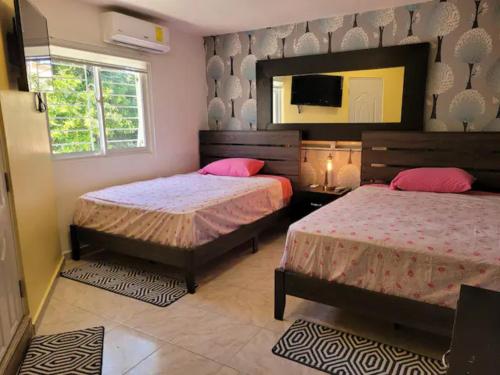 www.bellavistainc.net