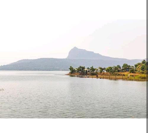 www.saifarmandresort.com