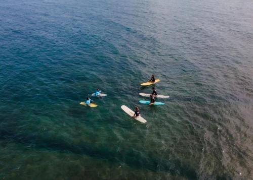 www.blackstonesurfcamp.com