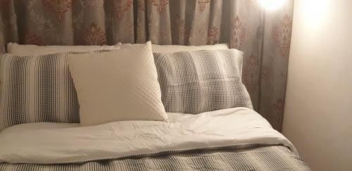 www.amasiapietrasanta.com