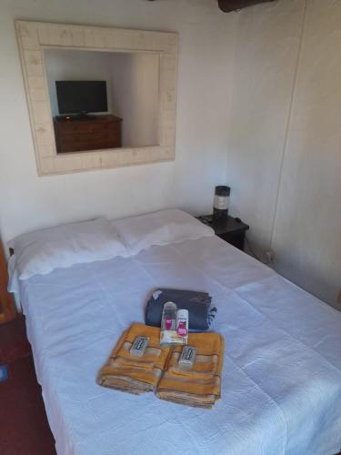 www.bohemyanbluestay.com