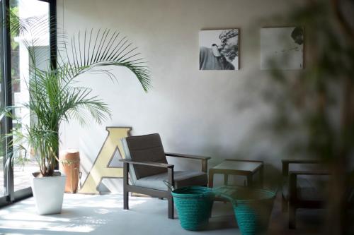 www.amigo-house.com