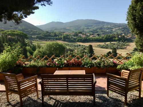 www.agriturismomacchialpino.it