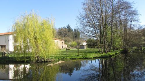 www.sitew.fr
