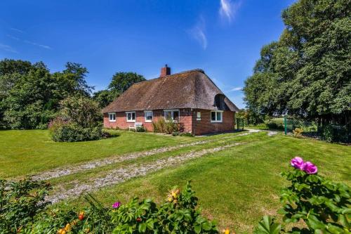 www.ferienhaus-reetsommer.de