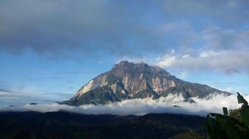 www.travellingpedro.com