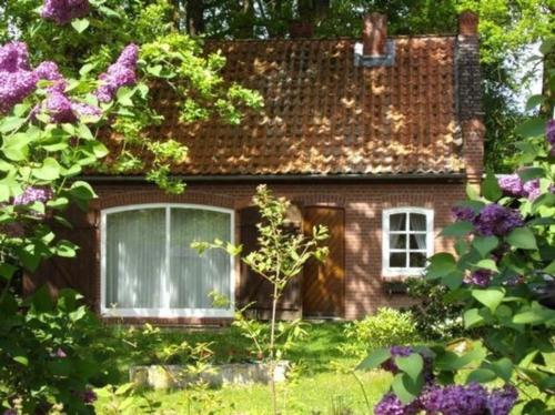 www.ferienhaus-wiecheln.de