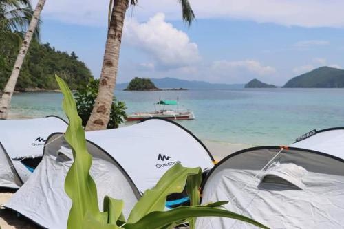 www.camping.info
