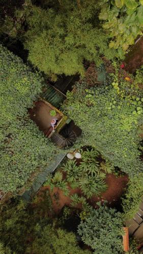 www.greenspacesmunnar.com