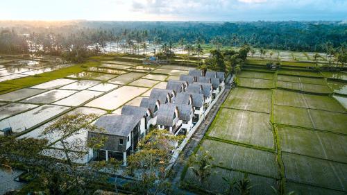 www.asricintaubud.com