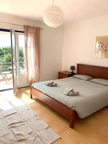 www.ibipozo.com