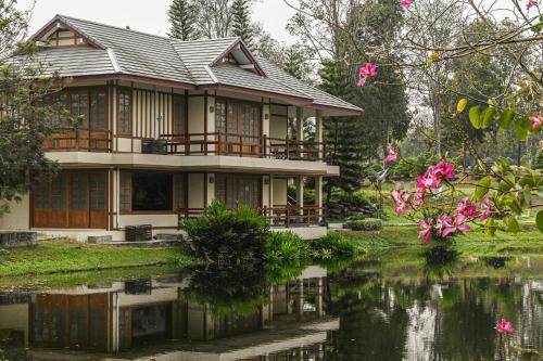 www.suanphungbonsaivillage.com