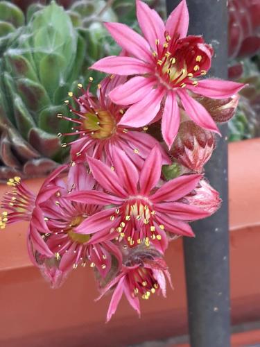www.casadelcampo.ch