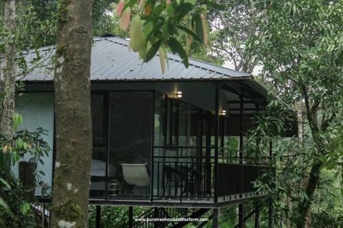 www.auratreehousevillasfarm.com