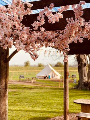 www.willowgrovefarm.co.uk