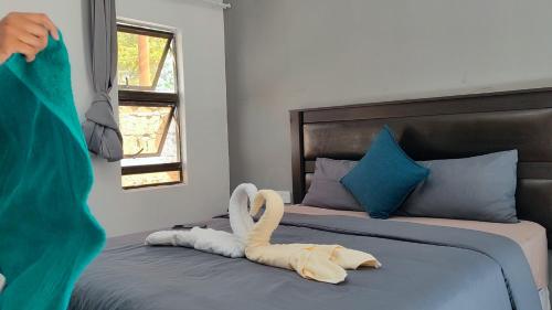 www.buffalogirlshotel.com