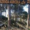 Agricampeggio La Pineta