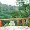 Jungle Cottage Kitelella