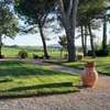 Agriturismo IL GREPPO