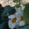 Sapore Di Sale Accommodation Tropea