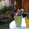 A CASA DI GEMMA