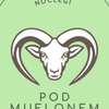 Noclegi Pod Muflonem
