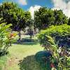 Turtle Bay Resort 7