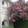 Apartments MINT Povljana - 50m from sandy beach