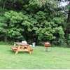 Close to Ricketts Glen State Park Camping