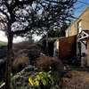 Vegan Homestay and Retreat